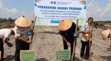 Dari Lahan Air Joman untuk Negeri: Jajaran Pemasyarakatan Sumut dan Pemda Asahan Tancap Gas Tanam Jagung, Wujud Nyata Dukung Ketahanan Pangan Nasional!