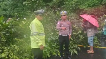 Satlantas Polres Karo Gerak Cepat Tangani Pohon Tumbang di Jalur Medan-Kabanjahe